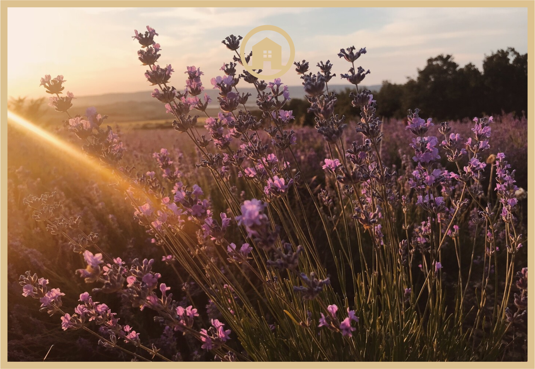 Лучшие места для фотосессий в Крыму 